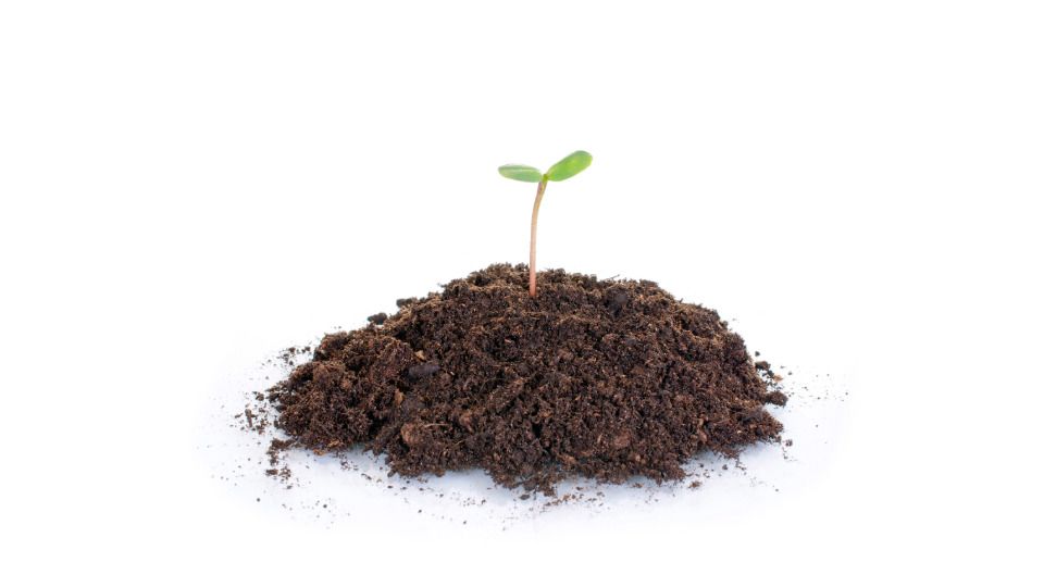 (c) Fotografie Katrin Winner